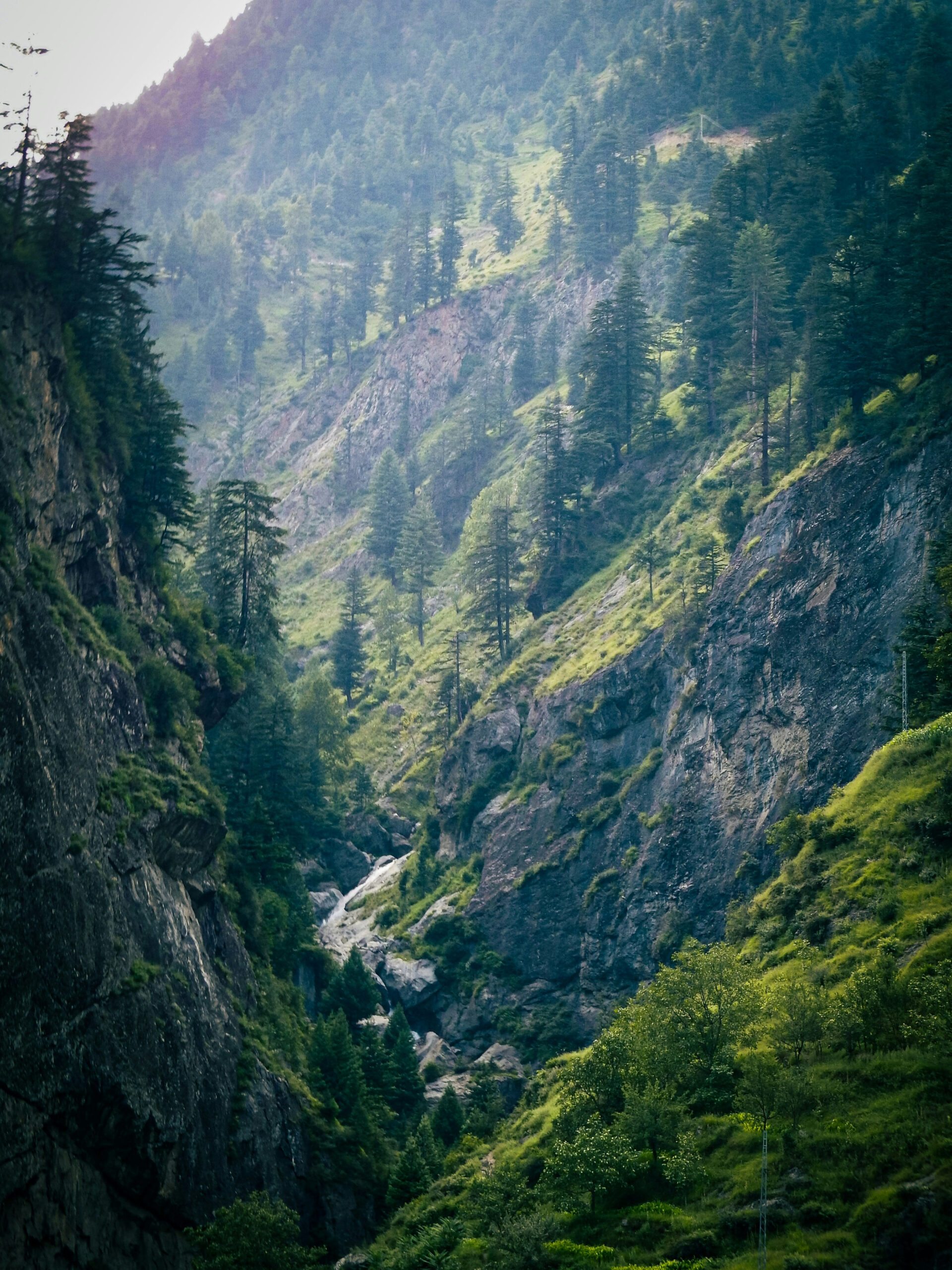 Top 5 Tips to Ace Your O‑Levels in the Gulf